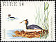 Great Crested Grebe Podiceps cristatus  1979 Birds 