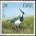 Northern Lapwing Vanellus vanellus  1989 Game birds 