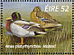 Mallard Anas platyrhynchos  1996 Fresh water ducks Sheet