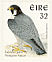 Peregrine Falcon Falco peregrinus  1997 Birds, Falcon and Robin Strip, sa, ISS