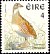 Corn Crake Crex crex  1997 Birds 