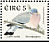 Common Wood Pigeon Columba palumbus  1998 Birds, Woodpigeon and Blackbird Booklet