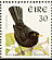 Common Blackbird Turdus merula  1998 Birds, Blackbird and Goldcrest Booklet, chsp