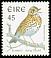 Song Thrush Turdus philomelos  1998 Birds ph