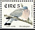 Common Wood Pigeon Columba palumbus  1999 Birds, Woodpigeon and Goldcrest Booklet, pho