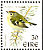 Goldcrest Regulus regulus