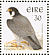 Peregrine Falcon Falco peregrinus