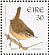 Eurasian Wren Troglodytes troglodytes