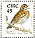 Song Thrush Turdus philomelos  1999 Birds, Song Thrush Booklet