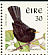 Common Blackbird Turdus merula  2001 Birds, Blackbird and Goldcrest Booklet, pho