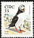 Atlantic Puffin Fratercula arctica