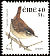 Eurasian Wren Troglodytes troglodytes  2001 Birds, dual currency 