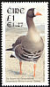 Greater White-fronted Goose Anser albifrons  2001 Birds, dual currency 