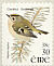 Goldcrest Regulus regulus