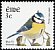 Eurasian Blue Tit Cyanistes caeruleus  2002 Birds 