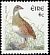 Corn Crake Crex crex  2002 Birds 