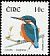 Common Kingfisher Alcedo atthis  2002 Birds 