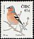 Common Chaffinch Fringilla coelebs  2002 Birds 