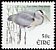 Grey Heron Ardea cinerea  2002 Birds 