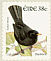 Common Blackbird Turdus merula  2002 Birds, Blackbird and Goldcrest Strip, sa