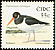 Eurasian Oystercatcher Haematopus ostralegus  2002 Birds 