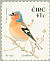 Eurasian Chaffinch Fringilla coelebs