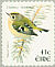 Goldcrest Regulus regulus