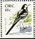 White Wagtail Motacilla alba  2003 Birds, Wagtail and Falcon Booklet
