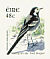 White Wagtail Motacilla alba  2003 Birds, Wagtail and Falcon Booklet, sa