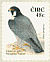 Peregrine Falcon Falco peregrinus  2003 Birds, Wagtail and Falcon Strip, sa, ISS