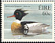 Red-breasted Merganser Mergus serrator