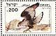 Bonelli's Eagle Aquila fasciata