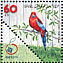 Crimson Rosella Platycercus elegans