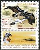 Egyptian Vulture Neophron percnopterus