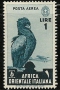 Bateleur Terathopius ecaudatus