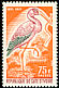 Yellow-billed Stork Mycteria ibis  1965 Birds 