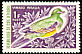 Bruce's Green Pigeon Treron waalia  1966 Birds 