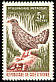 Stone Partridge Ptilopachus petrosus  1966 Birds 