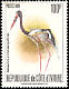 Saddle-billed Stork Ephippiorhynchus senegalensis  1980 Birds 