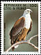 African Fish Eagle Haliaeetus vocifer  1983 Birds 