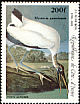Wood Stork Mycteria americana  1985 Audubon 