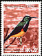 Variable Sunbird Cinnyris venustus  1999 Birds 