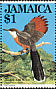 Jamaican Lizard Cuckoo Coccyzus vetula  1982 Jamaican birds Strip