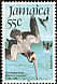 Brown Pelican Pelecanus occidentalis  1985 Audubon 