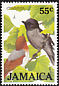 Jamaican Becard Pachyramphus niger  1986 Jamaican birds 