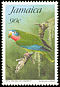 Yellow-billed Amazon Amazona collaria  1995 Wild birds 