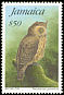 Jamaican Owl Asio grammicus  1995 Wild birds 