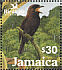 Jamaican Blackbird Nesopsar nigerrimus  2003 BirdLife International Sheet