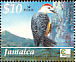 Jamaican Woodpecker Melanerpes radiolatus  2004 BirdLife International Sheet