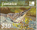 Arrowhead Warbler Setophaga pharetra  2004 BirdLife International Sheet